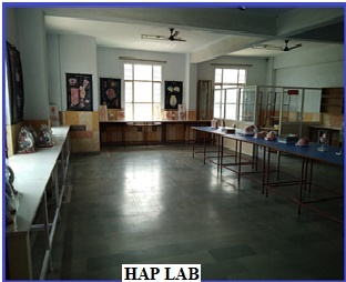 HAP Lab